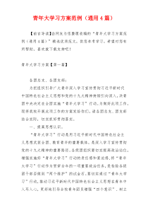 青年大学习方案范例（通用4篇）