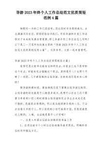 导游2023年终个人工作总结范文优质简短范例4篇
