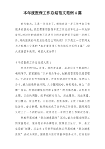 本年度医保工作总结范文范例4篇