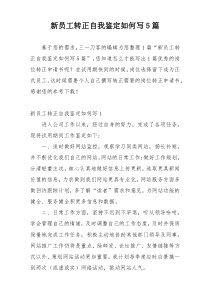 新员工转正自我鉴定如何写5篇