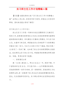 实习班主任工作计划精编4篇