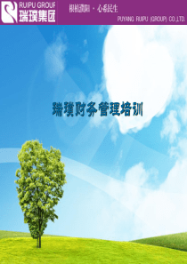 瑞璞集团财务管理培训（PPT45页）