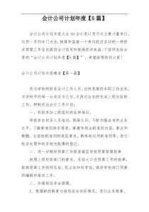 会计公司计划年度【5篇】