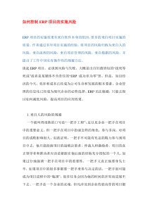 如何控制ERP项目的实施风险(DOC 9)