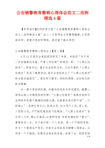 公安辅警教育整顿心得体会范文二范例精选4篇