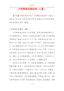大学寒假实践范例（4篇）