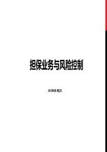 担保业务与风险控制