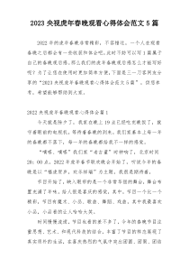 2023央视虎年春晚观看心得体会范文5篇