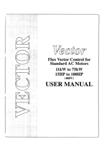 Vector