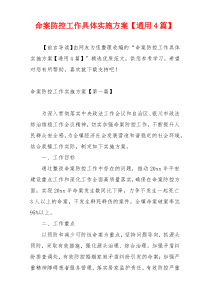 命案防控工作具体实施方案【通用4篇】