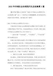 2023年市域社会治理现代化总结集聚3篇