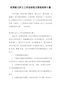 优秀新人护士工作总结范文简短范例5篇