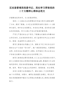 区应急管理局党委书记、局长学习贯彻党的二十大精神心得体会范文
