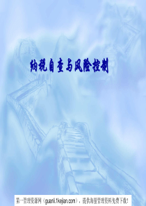 纳税自查与风险控制(74)
