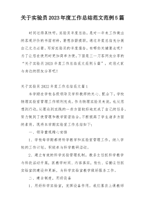 关于实验员2023年度工作总结范文范例5篇