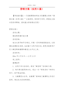 营销方案（实用5篇）