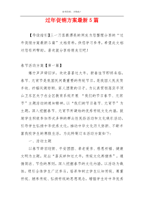 过年促销方案最新5篇