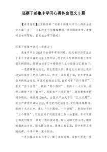 巡察干部集中学习心得体会范文3篇