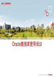 Oracle使用培训