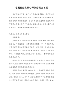 毛概社会实践心得体会范文4篇