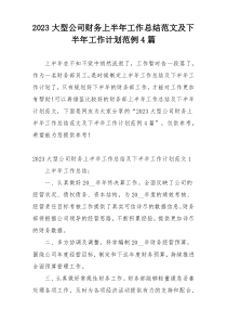 2023大型公司财务上半年工作总结范文及下半年工作计划范例4篇