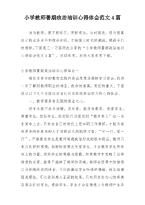 小学教师暑期政治培训心得体会范文4篇
