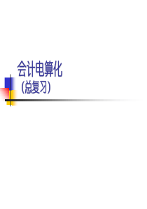 XXXX年会计上岗证电算化(总复习)
