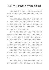 [1000字]社会实践个人心得体会范文甄选