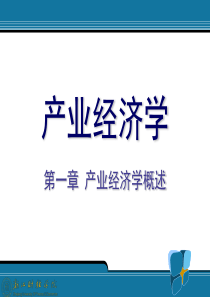 1产业经济学概述