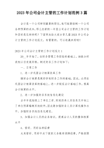 2023年公司会计主管的工作计划范例3篇