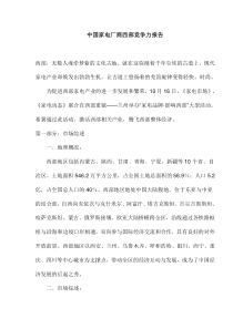 中国家电厂商西部竞争力报告(1)