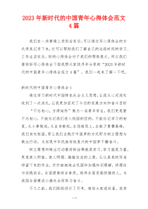 2023年新时代的中国青年心得体会范文4篇