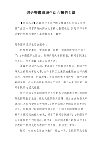 综合整肃组织生活会报告3篇