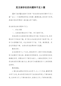 党支部存在的问题和不足3篇