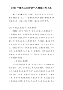 2023年度民主生活会个人检视材料3篇