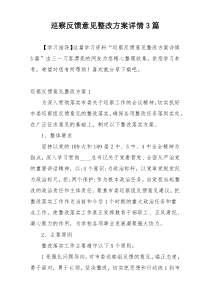 巡察反馈意见整改方案详情3篇
