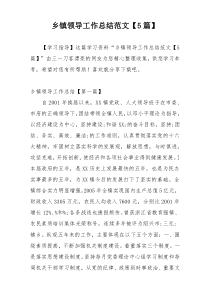 乡镇领导工作总结范文【5篇】