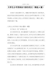 大学生公司顶岗实习报告范文（精选4篇）