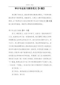 审计专业实习报告范文【8篇】