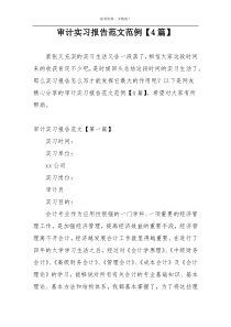 审计实习报告范文范例【4篇】