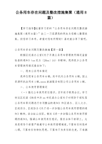 公务用车存在问题及整改措施集聚（通用8篇）