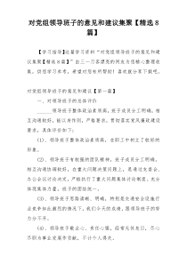 对党组领导班子的意见和建议集聚【精选8篇】