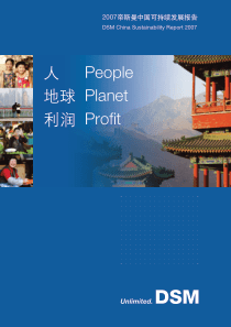 人People地球Planet利润Profit