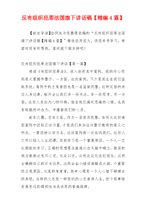 反有组织犯罪法国旗下讲话稿【精编4篇】