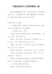 村委会成员分工及职责通用4篇
