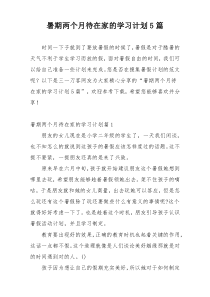 暑期两个月待在家的学习计划5篇