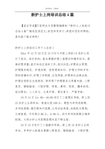 新护士上岗培训总结4篇