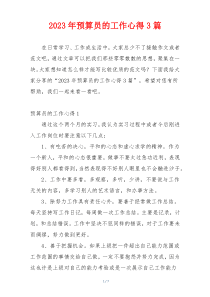 2023年预算员的工作心得3篇