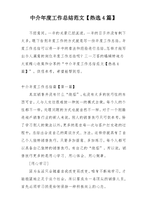 中介年度工作总结范文【热选4篇】