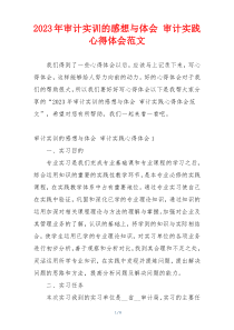 2023年审计实训的感想与体会 审计实践心得体会范文